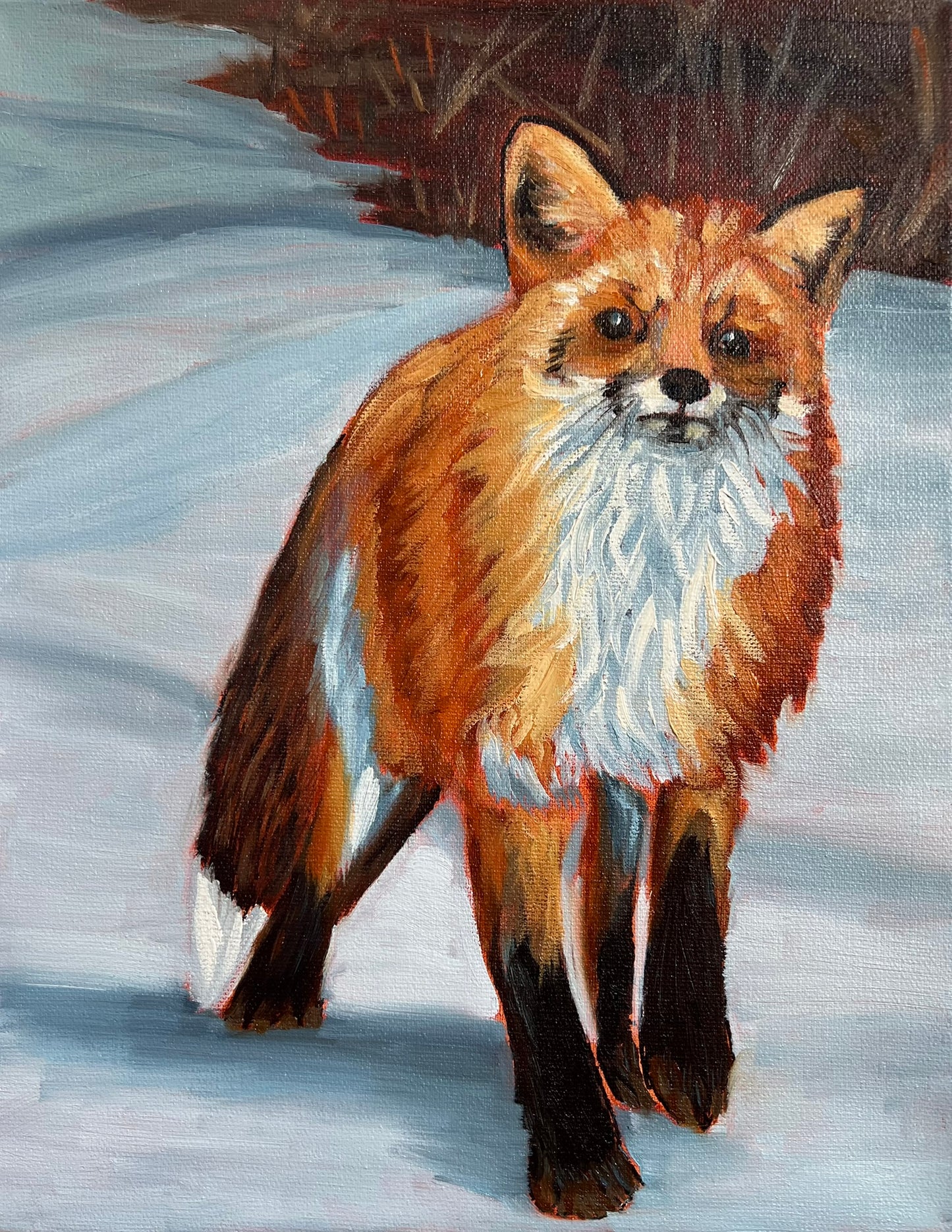 Original Oil Painting of a Fox, 11x14 on Canvas